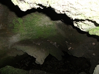 otta delle Femmine27052012 083